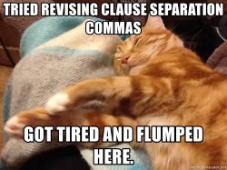 Sleepy grammar cat Meme Template