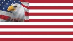 Patriot eagle flag Meme Template