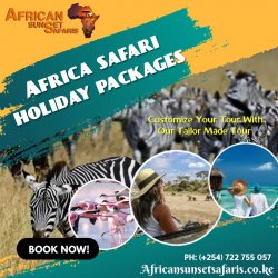 Africa Safari Holiday Packages Meme Template