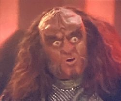 GOWRON SPEAKS CLOSEUP Meme Template