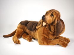 Plush Bloodhound Meme Template