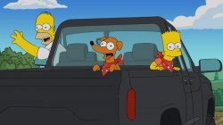 Homer's truck Meme Template