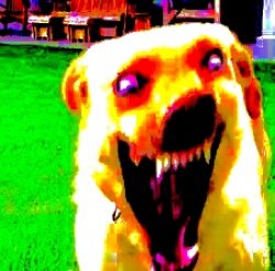 Cursed deepfried dog Meme Template