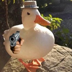 Pato pipa Meme Template