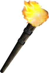 Torch Meme Template