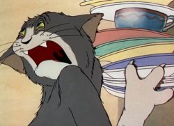 Tom the Cat Holding Dishes Meme Template