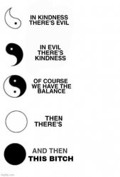 Which one are you? Ying and Yang. Meme Template