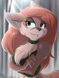 Furry art Meme Template