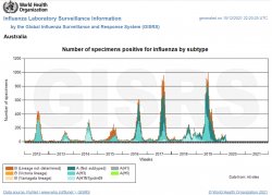 Influenza statistics 2012 to 2021 Meme Template