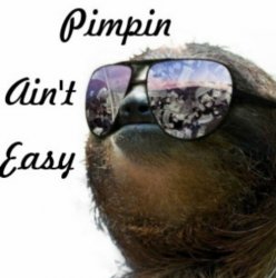 Sloth pimpin ain’t easy Meme Template