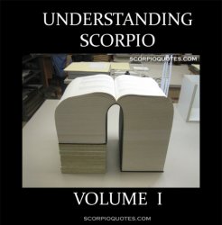 Understanding------------- volume 1 Meme Template