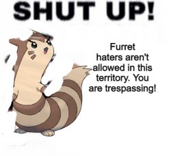 Anti- Furret haters Meme Template