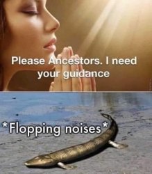 Please ancestors I need guidance Meme Template