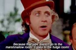 Willy Wonka, that pipe doesn't go to the marshmallow room Meme Template