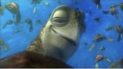 Nemo High Turtle Meme Template