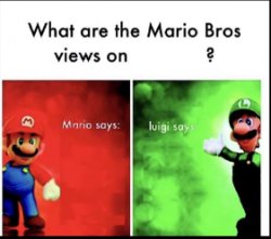 What are the mario bros views on? Meme Template