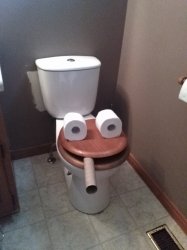 toilet head Meme Template