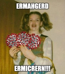 Ermahgerd ermicrern!!! Meme Template