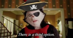 Cat in the hat third option pirate Meme Template