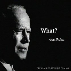 biden Meme Template