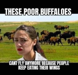 AOC Cries over Buffalo Wings Meme Template