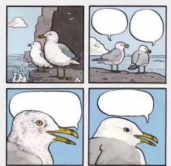 seagulls want some fries Meme Template