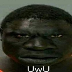 UwU Meme Template