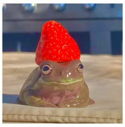 Strawberry frog Meme Template