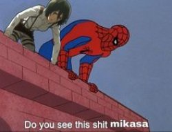 do you see this shit Mikasa Meme Template