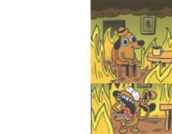 THIS IS NOT FINE!! Meme Template