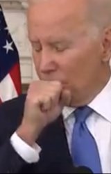 Biden 2 Meme Template