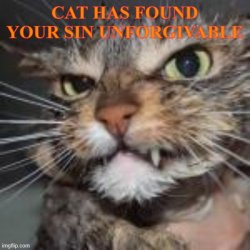 Cat has found your sin unforgivable Meme Template