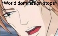 World domination stops Meme Template