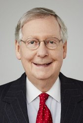 bitch mcconnell Meme Template