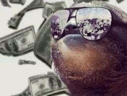 sloth money Meme Template