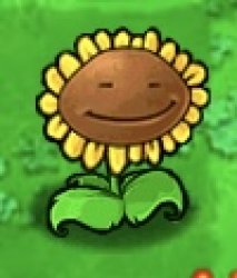 High sunflower Meme Template