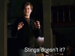 Stings doesn't it? Meme Template