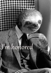 Sloth I’m honored Meme Template