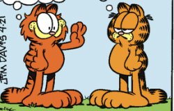 Garfield and his doppelganger, Grafield Meme Template