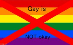 Homophobia stream flag Meme Template