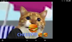 Cheesy kitty Meme Template