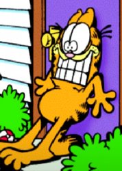 Garfield leaning against door Meme Template