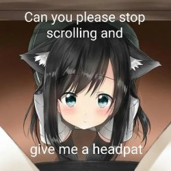 Stop scrolling and give me a headpat Meme Template
