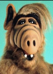 Alf Meme Template