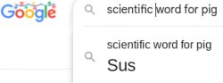 sus amog us Meme Template