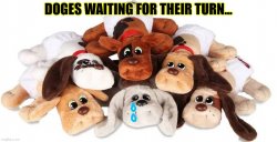 Pound Puppies Meme Template