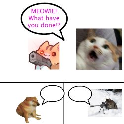 Billy what have you done cat version Meme Template