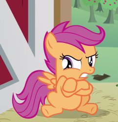 Angry Scootaloo (MLP) Meme Template