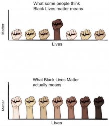 What BLM actually means Meme Template