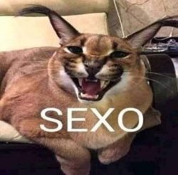 SEXO Meme Template